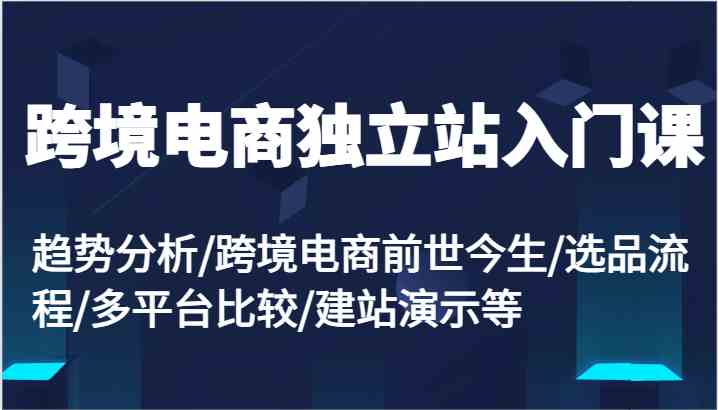 跨境电商独立站入门课：趋势分析/跨境电商前世今生/选品流程/多平台比较/建站演示等-占领资源网