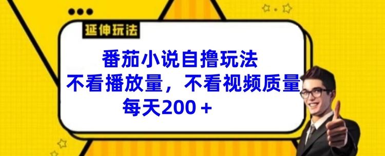 番茄小说自撸玩法，不看播放量，不看视频质量，每天200+【揭秘】-占领资源网