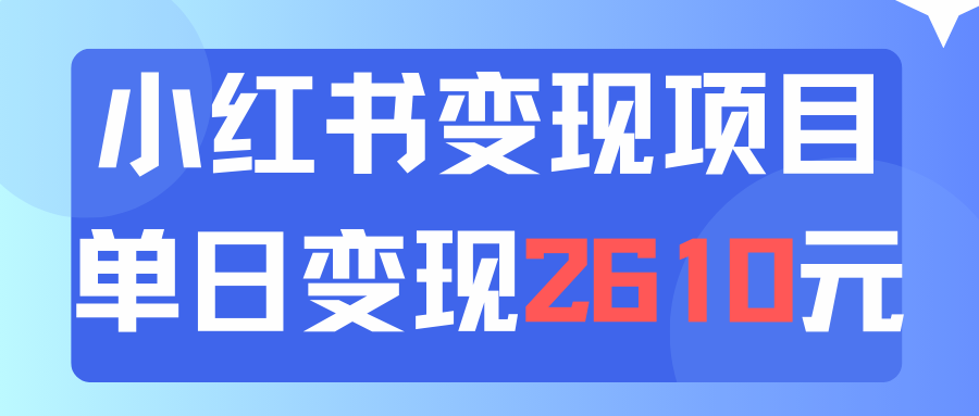 （11885期）利用小红书卖资料单日引流150人当日变现2610元小白可实操（教程+资料）-占领资源网