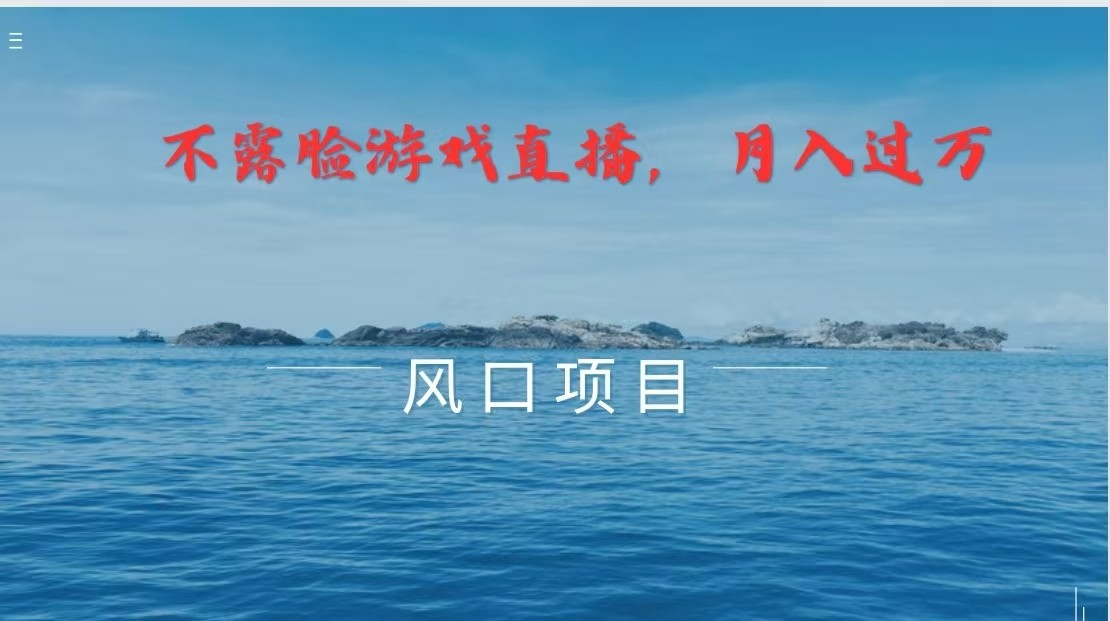 不露脸不出镜，玩转找茬游戏，普通人实现月入过万的好项目-占领资源网