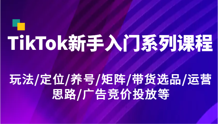 TikTok新手入门系列课程，玩法/定位/养号/矩阵/带货选品/运营思路/广告竞价投放等-占领资源网