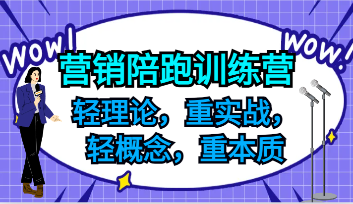 营销陪跑训练营，轻理论，重实战，轻概念，重本质，适合中小企业和初创企业的老板-占领资源网