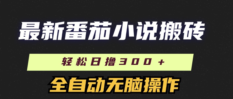 （11904期）最新番茄小说搬砖，日撸300＋！全自动操作，可矩阵放大-占领资源网