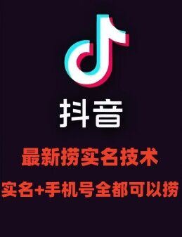 最新技术抖音捞实名+捞手机号技术，抖音直播封禁释放十名/手机号，直接替换出来!-占领资源网