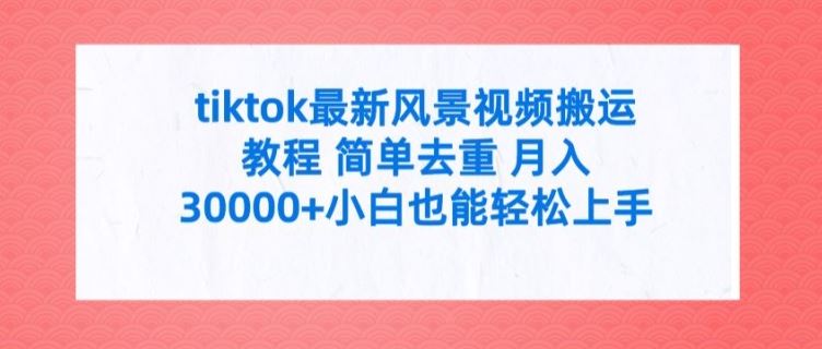 tiktok最新风景视频搬运教程 简单去重 月入3W+小白也能轻松上手【揭秘】-占领资源网