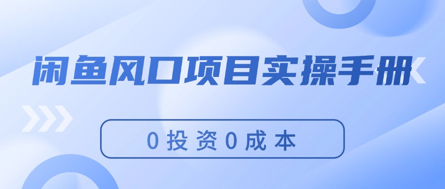 （11923期）闲鱼风口项目实操手册，0投资0成本，让你做到，月入过万，新手可做-占领资源网