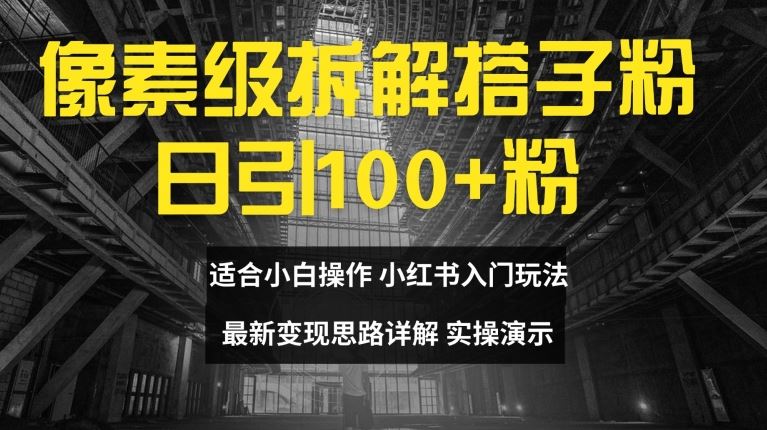 像素级拆解搭子粉，日引100+，小白看完可上手，最新变现思路详解【揭秘】-占领资源网
