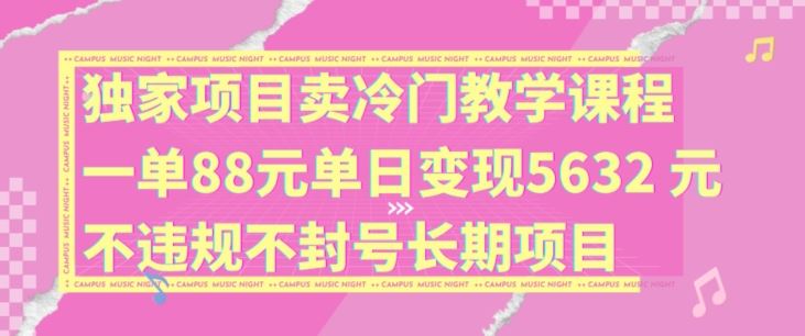 独家项目卖冷门教学课程一单88元单日变现5632元违规不封号长期项目【揭秘】-占领资源网