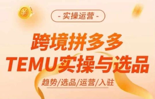 跨境拼多多TEMU实操与选品，多多temu跨境选品运营实操-占领资源网