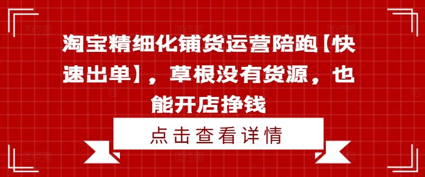 淘宝精细化铺货运营陪跑【快速出单】，草根没有货源，也能开店挣钱-占领资源网