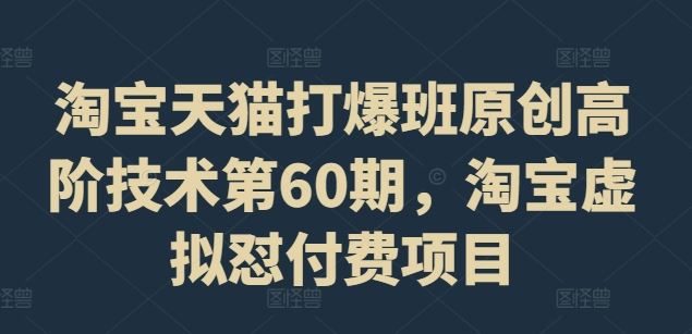 淘宝天猫打爆班原创高阶技术第60期，淘宝虚拟怼付费项目-占领资源网