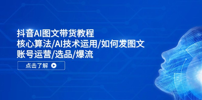 （11958期）抖音AI图文带货教程：核心算法/AI技术运用/如何发图文/账号运营/选品/爆流-占领资源网