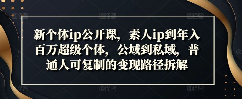 新个体ip公开课，素人ip到年入百万超级个体，公域到私域，普通人可复制的变现路径拆解-占领资源网