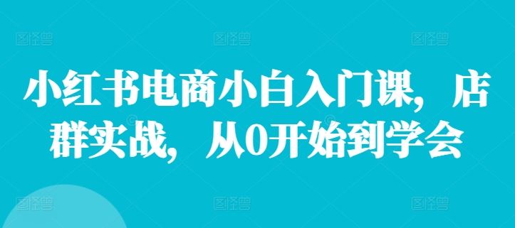 小红书电商小白入门课，店群实战，从0开始到学会-占领资源网