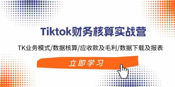 Tiktok财务核算实战营：TK业务模式/数据核算/应收款及毛利/数据下载及报表-占领资源网