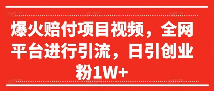 爆火赔付项目视频，全网平台进行引流，日引创业粉1W+【揭秘】-占领资源网