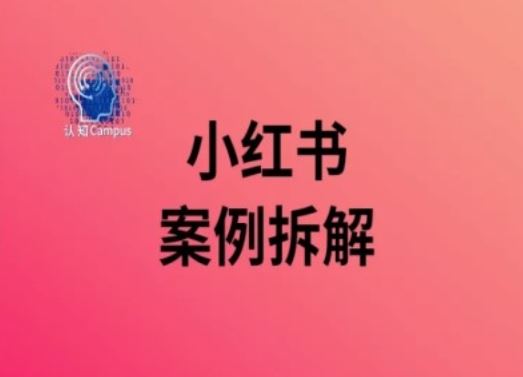 小红书案例拆解，深度解读小红书40万粉-占领资源网
