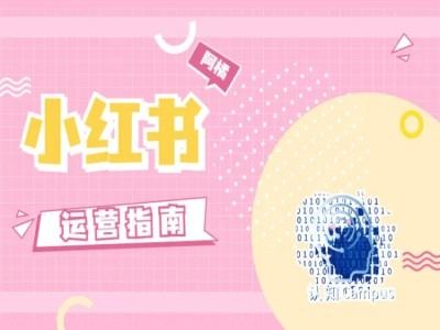 小红书运营指南，没有套路，全是经验-占领资源网