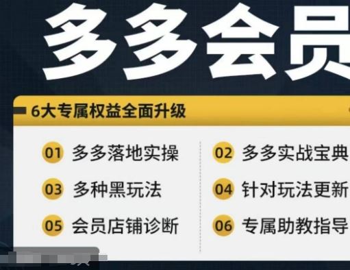 拼多多会员，拼多多实战宝典+实战落地实操，从新手到高阶内容全面覆盖-占领资源网