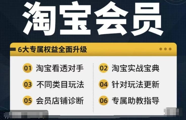 淘宝会员【淘宝所有课程，全面分析对手】，初级到高手全系实战宝典-占领资源网
