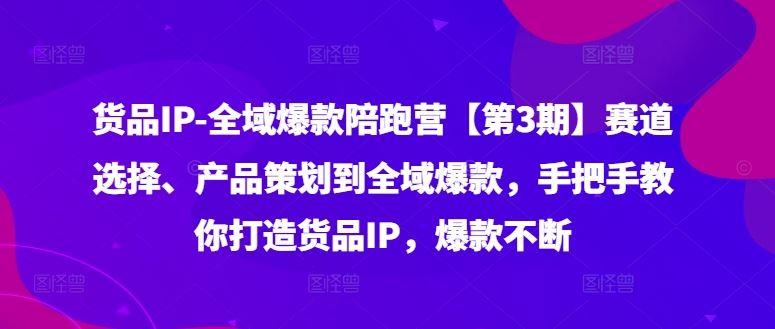 货品IP全域爆款陪跑营【第3期】赛道选择、产品策划到全域爆款，手把手教你打造货品IP，爆款不断-占领资源网