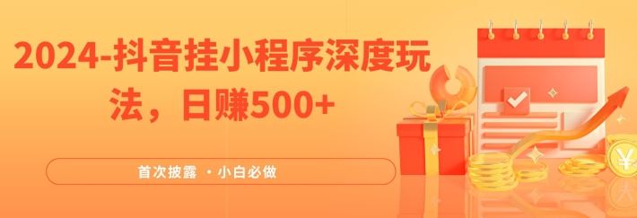 2024全网首次披露，抖音挂小程序深度玩法，日赚500+，简单、稳定，带渠道收入，小白必做【揭秘】-占领资源网