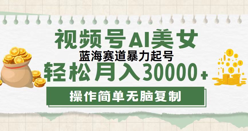（12087期）视频号AI美女跳舞，轻松月入30000+，蓝海赛道，流量池巨大，起号猛，无…-占领资源网