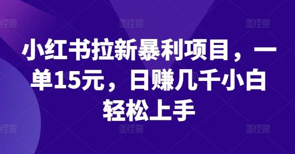 小红书拉新暴利项目，一单15元，日赚几千小白轻松上手【揭秘】-占领资源网