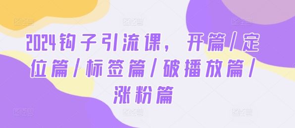 2024钩子引流课，开篇/定位篇/标签篇/破播放篇/涨粉篇-占领资源网