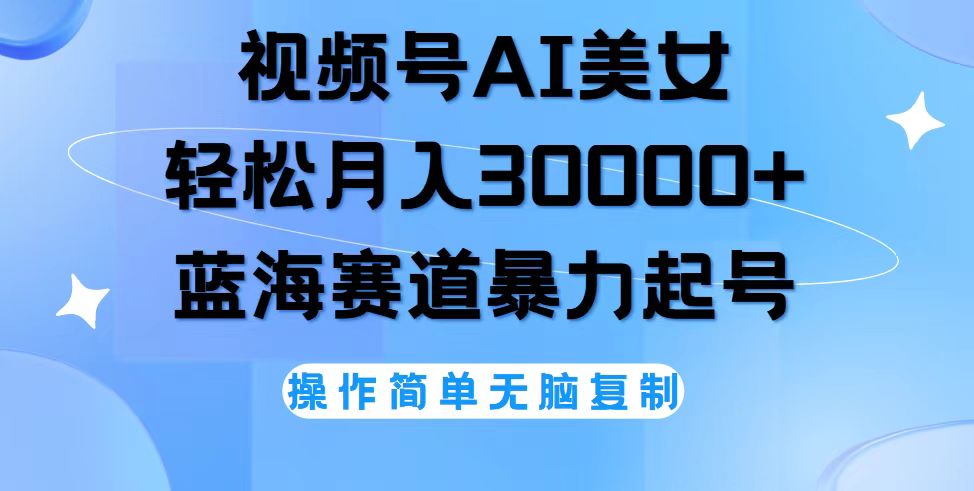 （12125期）视频号AI美女跳舞，轻松月入30000+，蓝海赛道，流量池巨大，起号猛，无…-占领资源网