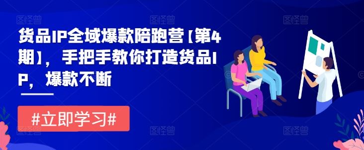 货品IP全域爆款陪跑营【第4期】，手把手教你打造货品IP，爆款不断-占领资源网