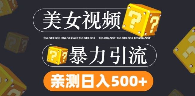 搬运tk美女视频全网分发，日引s粉300+，轻松变现，不限流量不封号【揭秘】-占领资源网