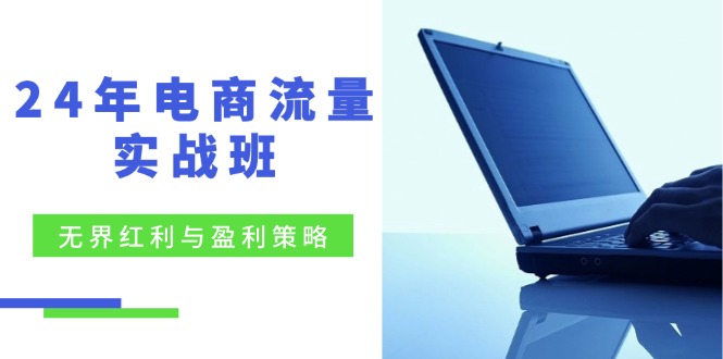 （12168期）24年电商流量实战班：无界 红利与盈利策略，终极提升/关键词优化/精准…-占领资源网