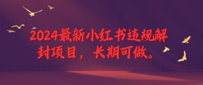 2024最新小红书违规解封项目，长期可做，一个可以做到退休的项目【揭秘】-占领资源网