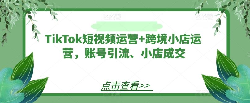 TikTok短视频运营+跨境小店运营，账号引流、小店成交-占领资源网