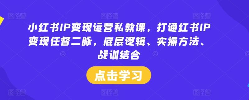 小红书IP变现运营私教课，打通红书IP变现任督二脉，底层逻辑、实操方法、战训结合-占领资源网