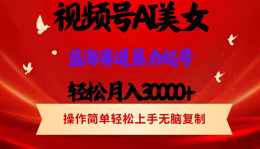 （12178期）视频号AI美女跳舞，轻松月入30000+，蓝海赛道，流量池巨大，起号猛，当…-占领资源网