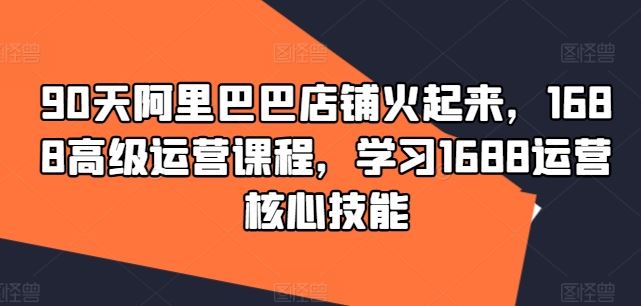 90天阿里巴巴店铺火起来，1688高级运营课程，学习1688运营核心技能-占领资源网