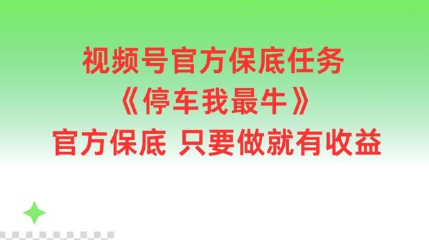 视频号官方保底任务，停车我最牛，官方保底只要做就有收益【揭秘】-占领资源网