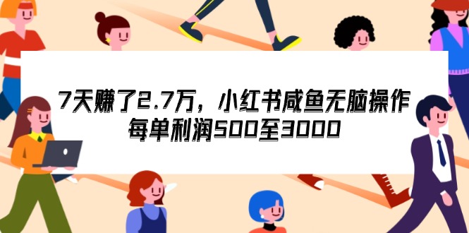（12192期）7天收了2.7万，小红书咸鱼无脑操作，每单利润500至3000-占领资源网