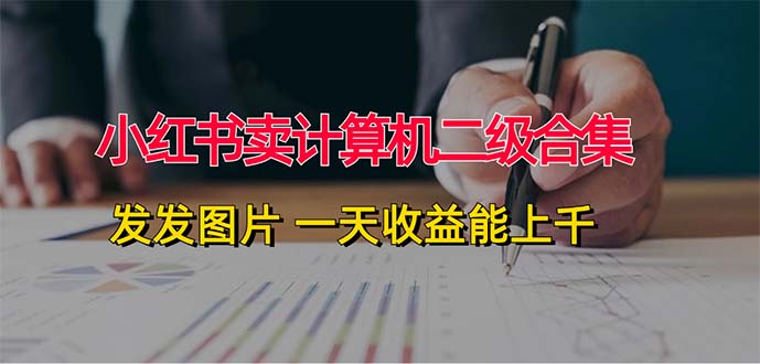 （12228期）小红书卖计算机二级合集，发发图片 一天收益能上千-占领资源网