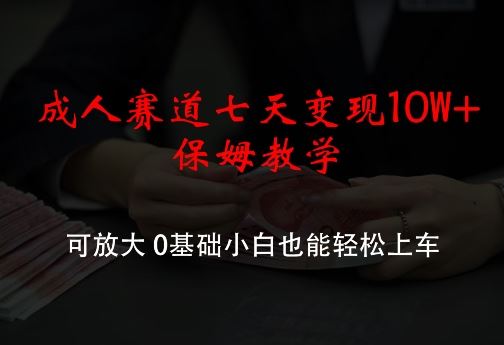 成人赛道七天变现10W+保姆教学，可放大，0基础小白也能轻松上车【揭秘】-占领资源网