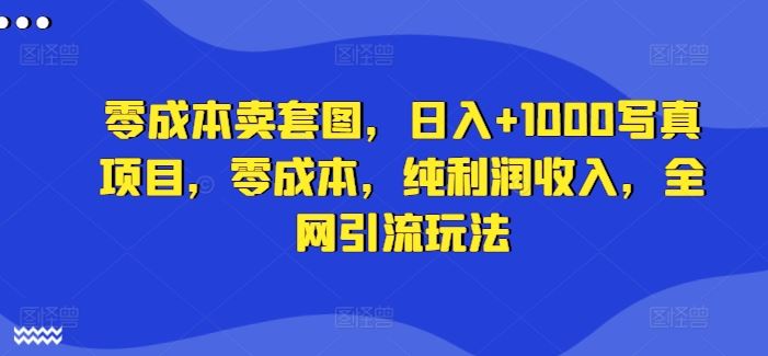 零成本卖套图，日入+1000写真项目，零成本，纯利润收入，全网引流玩法-占领资源网