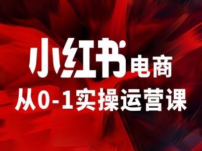 小红书电商从0-1实操运营课，让你从小白到精英-占领资源网