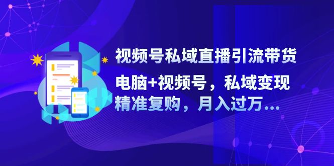 （12249期）视频号私域直播引流带货：电脑+视频号，私域变现，精准复购，月入过万…-占领资源网