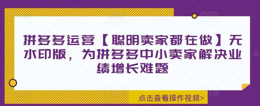 拼多多运营【聪明卖家都在做】无水印版，为拼多多中小卖家解决业绩增长难题-占领资源网