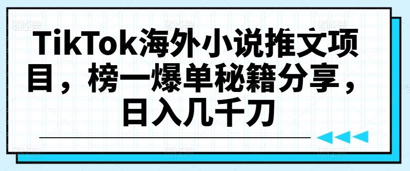 TikTok海外小说推文项目，榜一爆单秘籍分享，日入几千刀-占领资源网