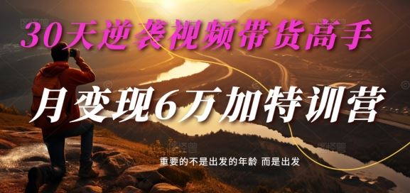 30天逆袭视频带货高手，单月变现6万加特训营-麦子甜-占领资源网