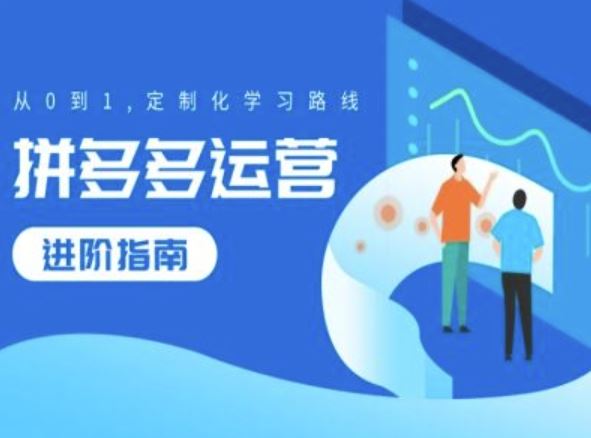 拼多多运营进阶指南，从0到1定制化学习路线-占领资源网