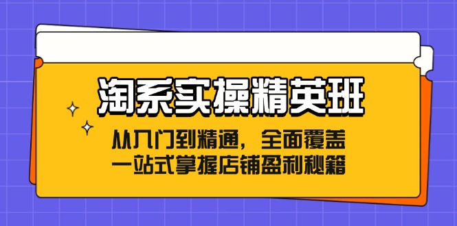 （12276期）淘系实操精英班：从入门到精通，全面覆盖，一站式掌握店铺盈利秘籍-占领资源网